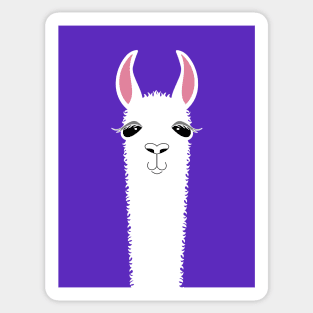 Llama Portrait #6 Sticker